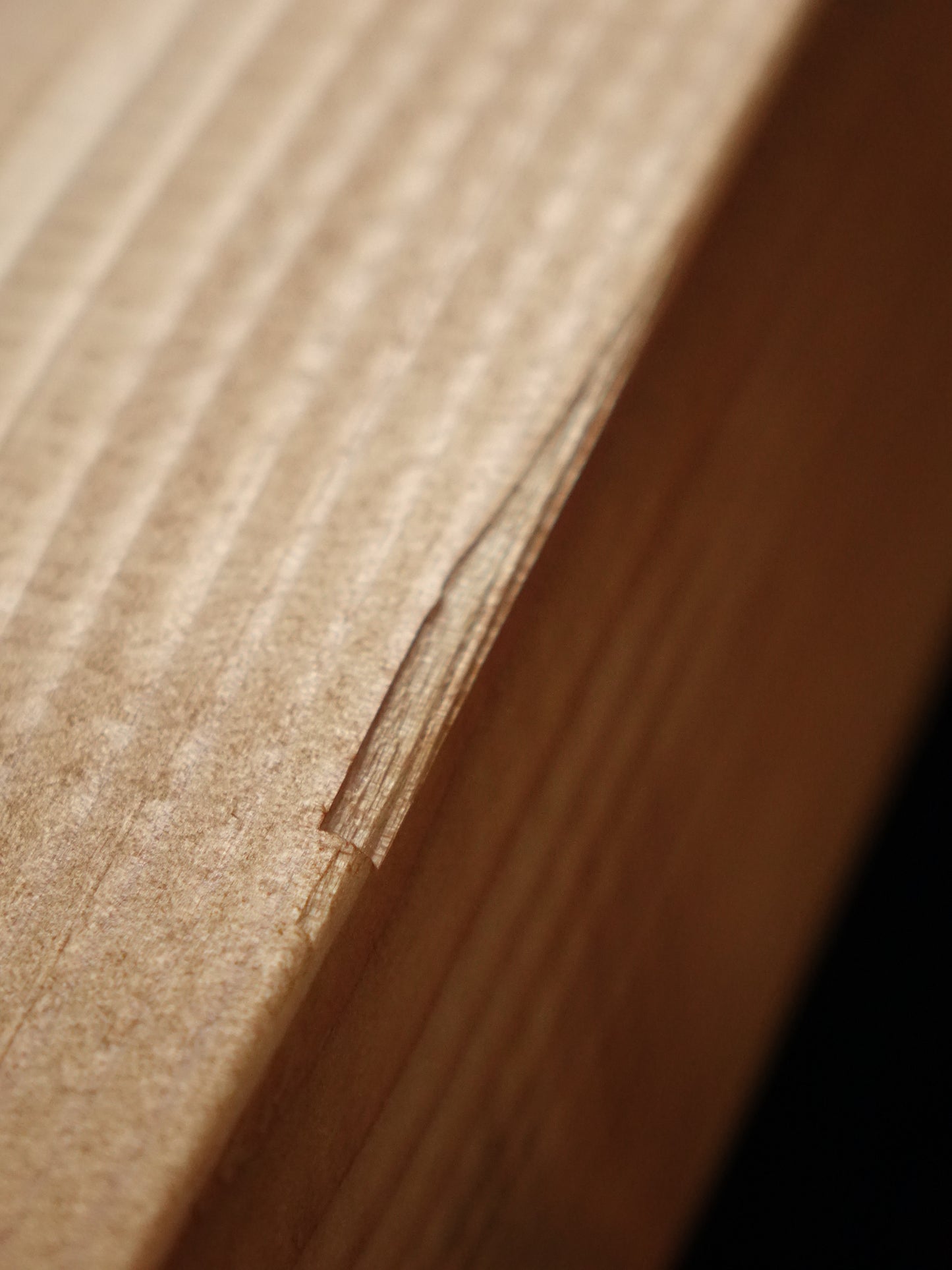 Model.82 Bench TV board